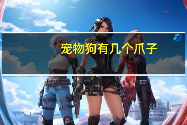 宠物狗有几个爪子