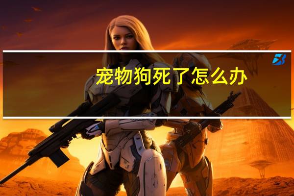 宠物狗死了怎么办