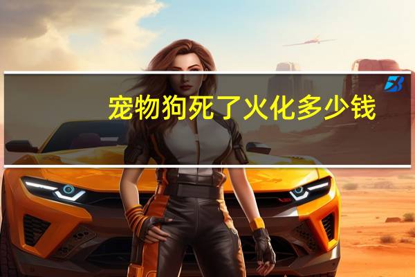宠物狗死了火化多少钱