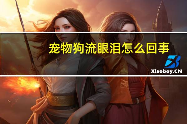 宠物狗流眼泪怎么回事