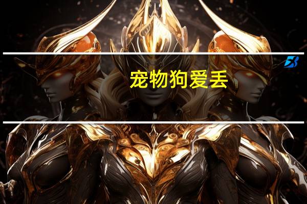 宠物狗爱丢
