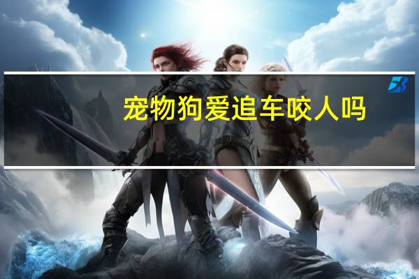 宠物狗爱追车咬人吗