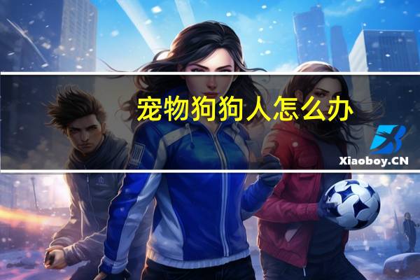 宠物狗狗人怎么办