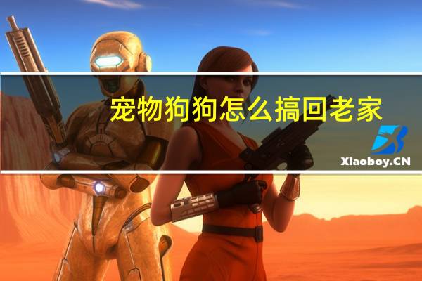 宠物狗狗怎么搞回老家