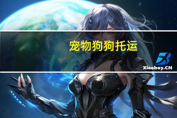 宠物狗狗托运