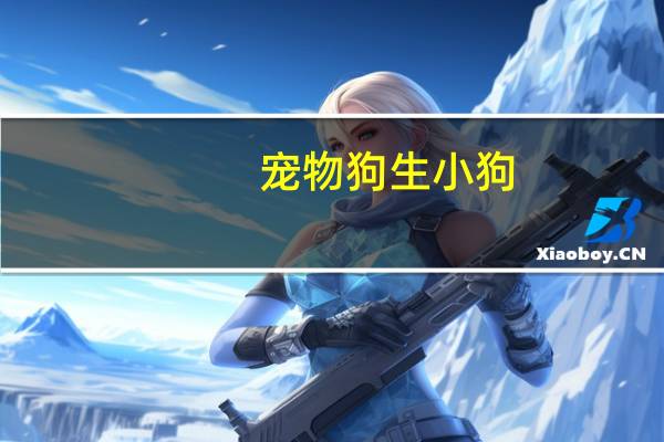 宠物狗生小狗