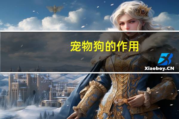 宠物狗的作用
