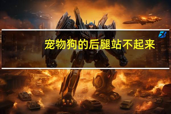 宠物狗的后腿站不起来