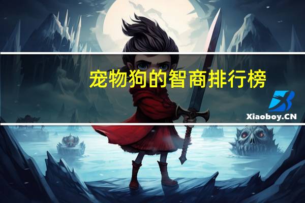 宠物狗的智商排行榜
