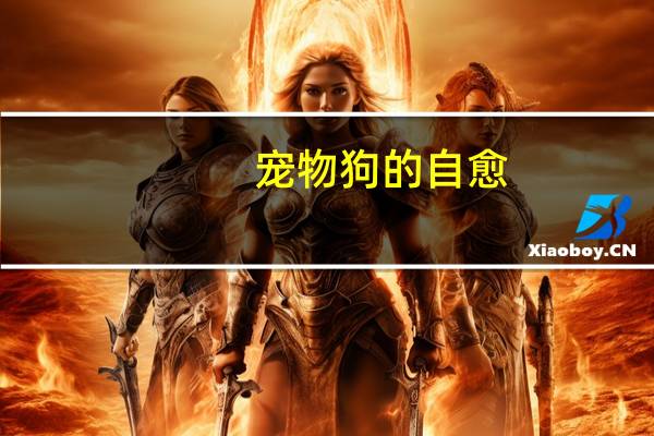 宠物狗的自愈