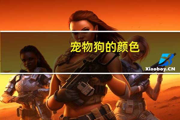 宠物狗的颜色