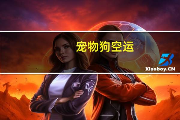 宠物狗空运