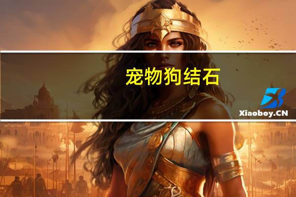 宠物狗结石