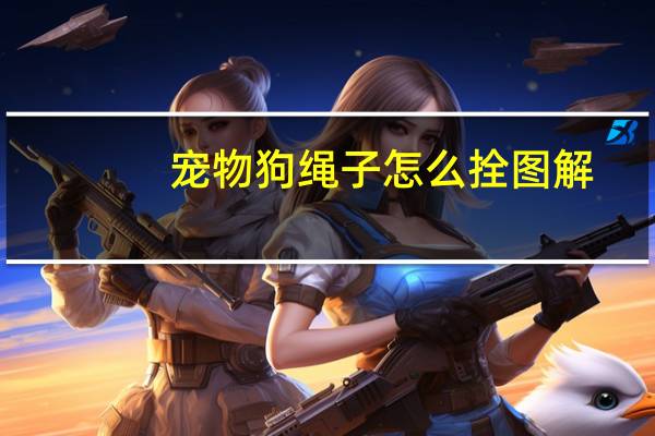 宠物狗绳子怎么拴图解