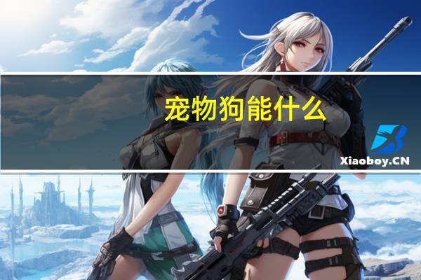 宠物狗能什么