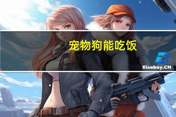 宠物狗能吃饭