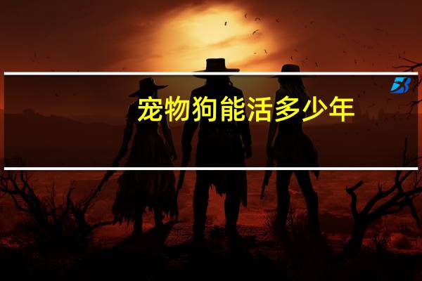 宠物狗能活多少年
