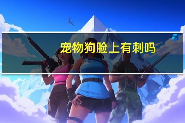 宠物狗脸上有刺吗