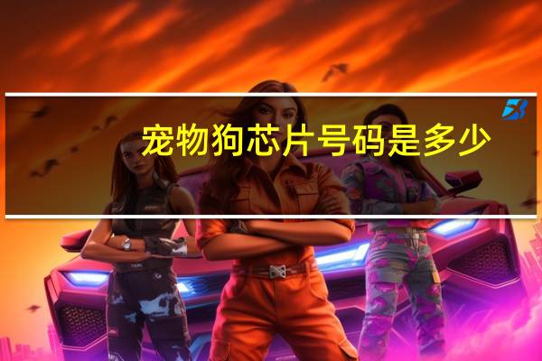 宠物狗芯片号码是多少