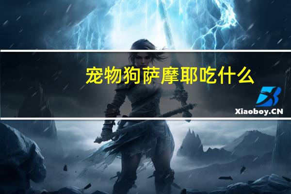 宠物狗萨摩耶吃什么