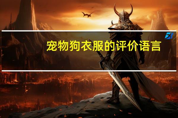 宠物狗衣服的评价语言