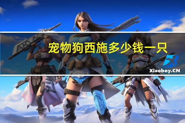 宠物狗西施多少钱一只