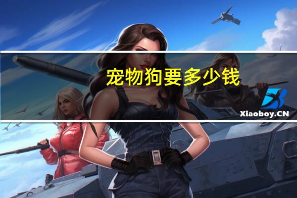宠物狗要多少钱