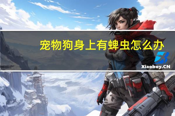 宠物狗身上有蜱虫怎么办