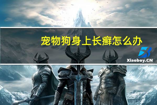 宠物狗身上长癣怎么办