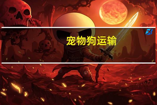 宠物狗运输