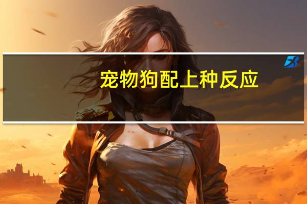 宠物狗配上种反应