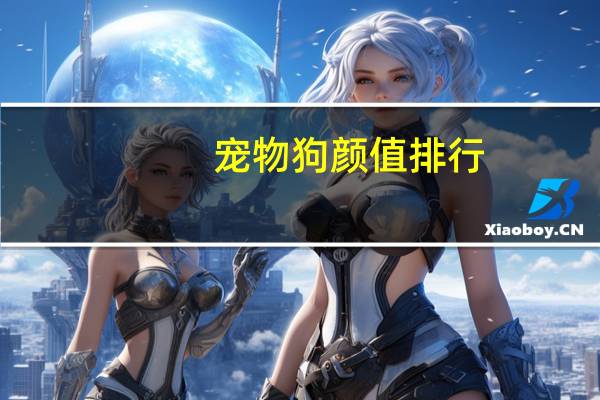 宠物狗颜值排行