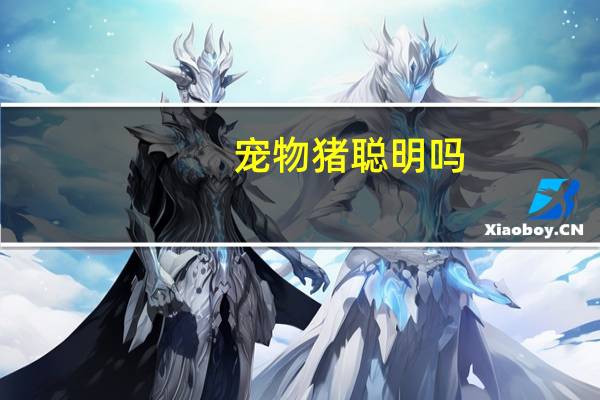 宠物猪聪明吗