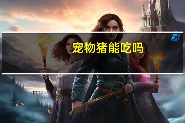 宠物猪能吃吗