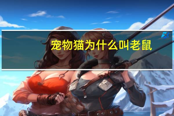 宠物猫为什么叫老鼠
