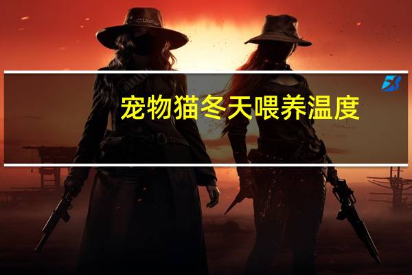 宠物猫冬天喂养温度