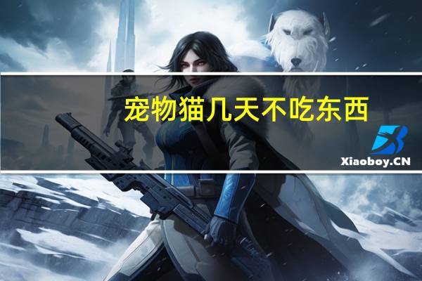 宠物猫几天不吃东西