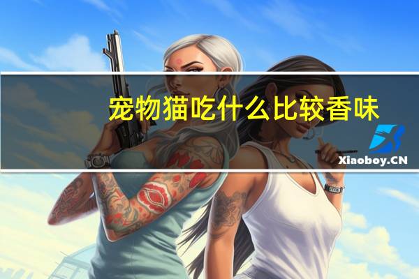 宠物猫吃什么比较香味