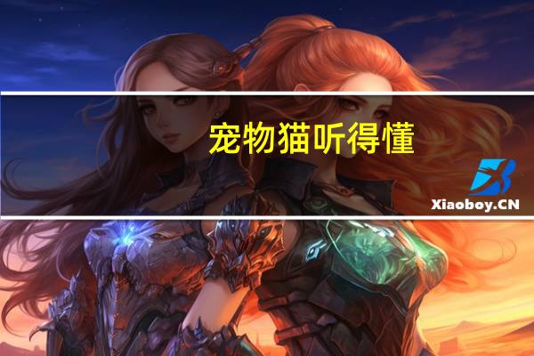 宠物猫听得懂