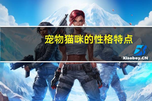宠物猫咪的性格特点