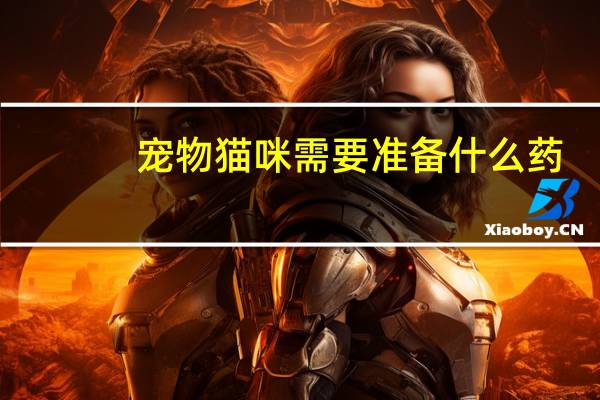 宠物猫咪需要准备什么药