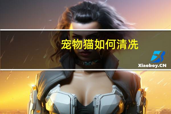 宠物猫如何清冼