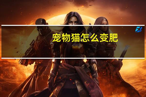 宠物猫怎么变肥