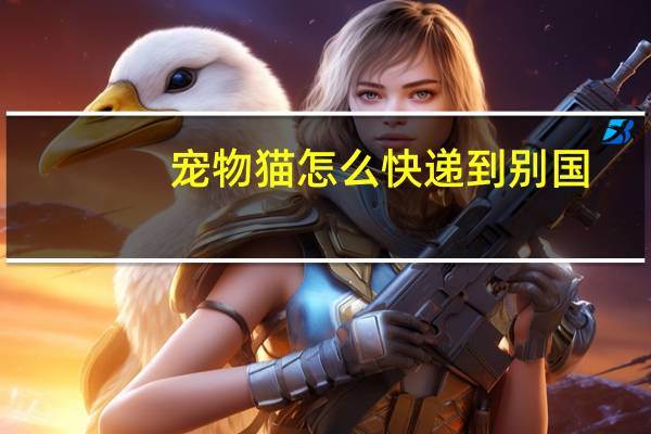 宠物猫怎么快递到别国