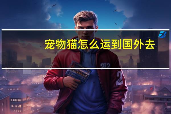 宠物猫怎么运到国外去