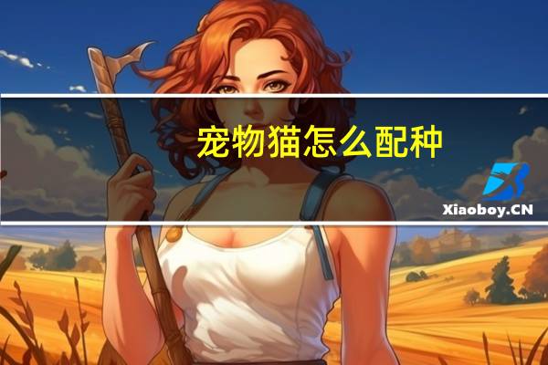 宠物猫怎么配种