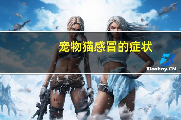 宠物猫感冒的症状