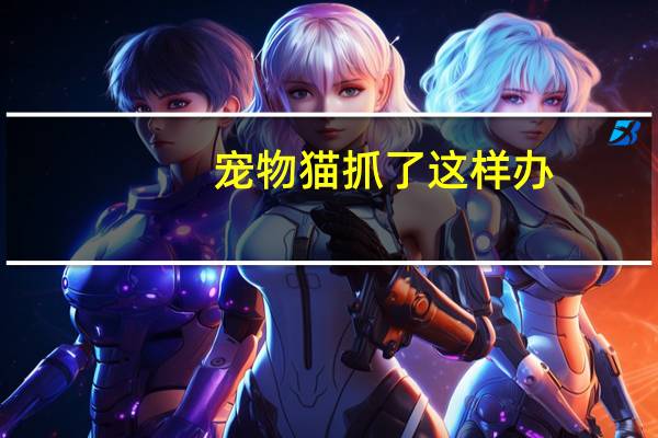 宠物猫抓了这样办