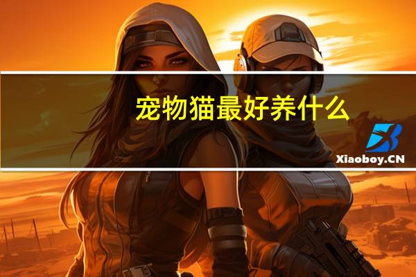 宠物猫最好养什么