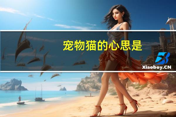 宠物猫的心思是